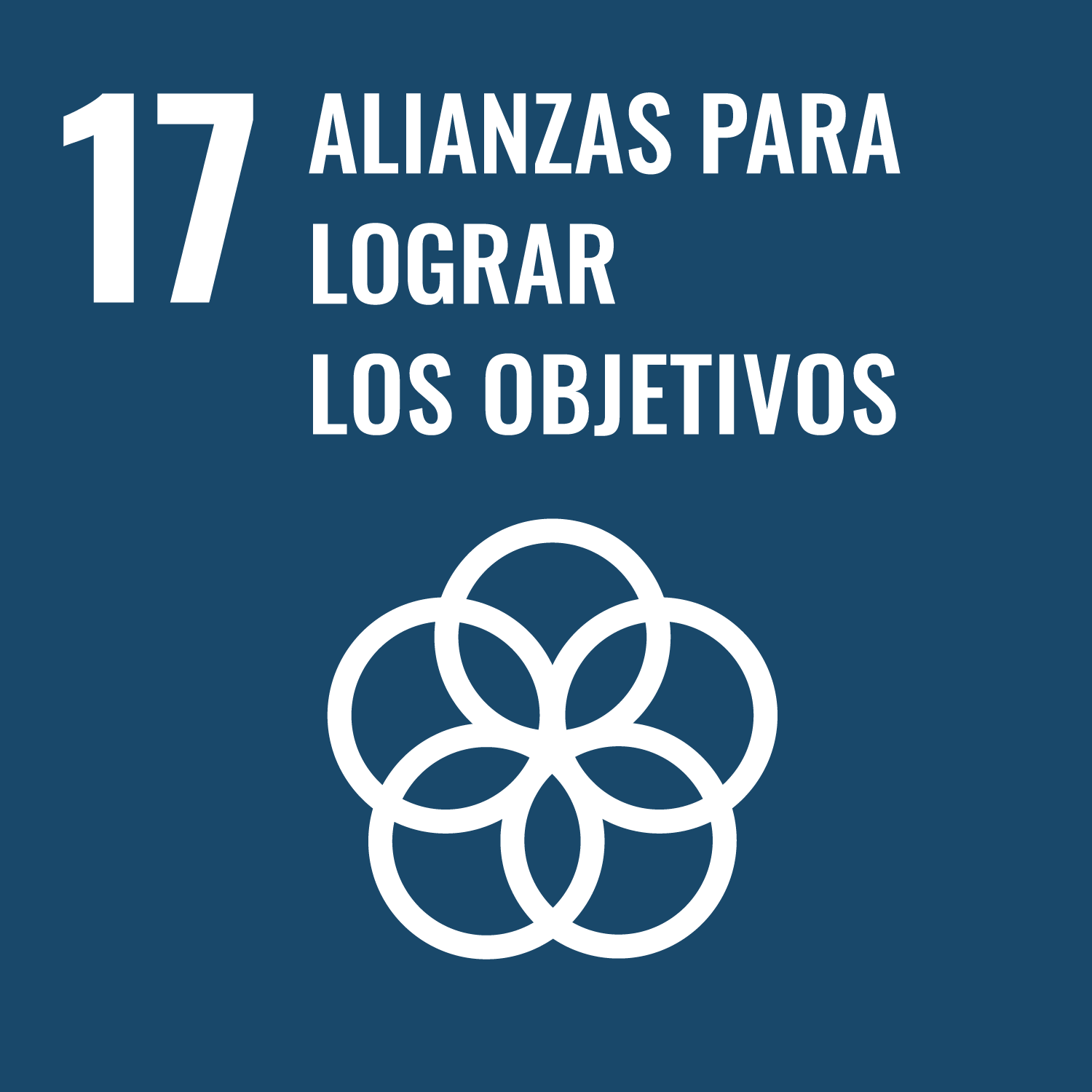 Icono Alianzas para lograr los objetivos