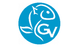 Logo GV